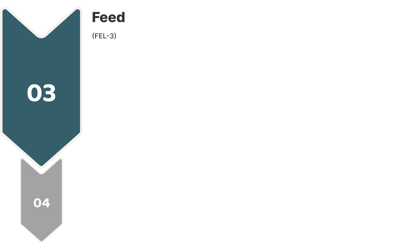 FEL 3 - Definition & Pre-FID Preparation